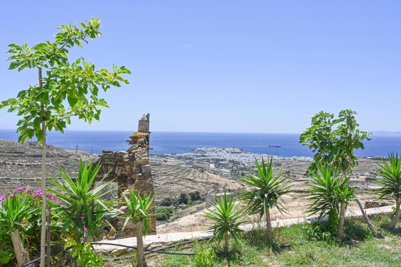 Aesthetic View * Arnados